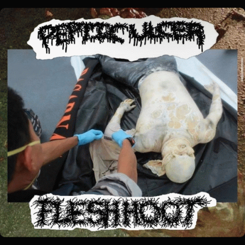 Peptic Ulcer : Peptic Ulcer - Flesh Hoot